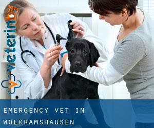 Emergency Vet in Wolkramshausen