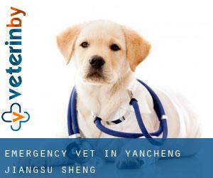 Emergency Vet in Yancheng (Jiangsu Sheng) Emergency Vet in Yancheng (Jiangsu Sheng)