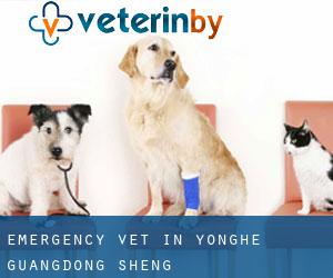 Emergency Vet in Yonghe (Guangdong Sheng)