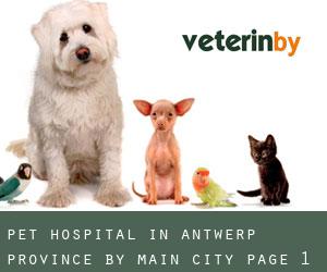 Pet Hospital in Antwerp Province by main city - page 1