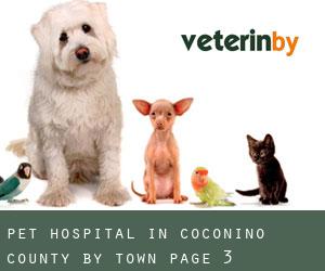 Pet Hospital in Coconino County by town - page 3