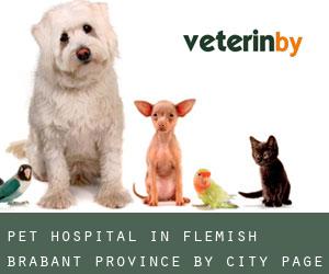 Pet Hospital in Flemish Brabant Province by city - page 1