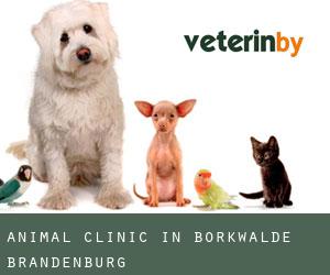 Animal Clinic in Borkwalde (Brandenburg)