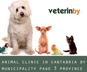 Animal Clinic in Cantabria by municipality - page 3 (Province)