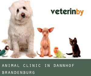 Animal Clinic in Dannhof (Brandenburg)