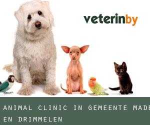 Animal Clinic in Gemeente Made en Drimmelen