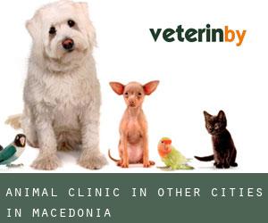 Animal Clinic in Other Cities in Macedonia