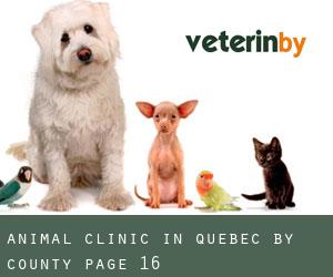 Animal Clinic in Quebec by County - page 16