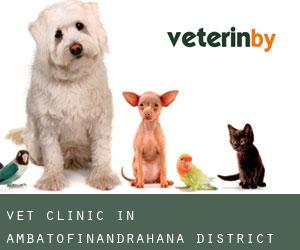 Vet Clinic in Ambatofinandrahana District