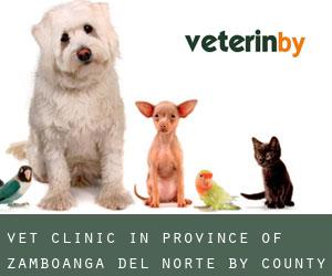 Vet Clinic in Province of Zamboanga del Norte by county seat - page 1