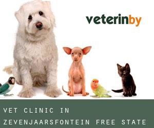 Vet Clinic in Zevenjaarsfontein (Free State)
