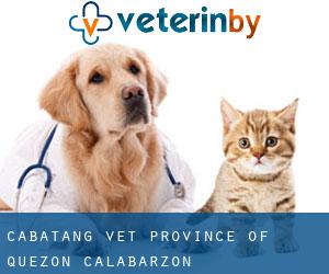 Cabatang vet (Province of Quezon, Calabarzon)