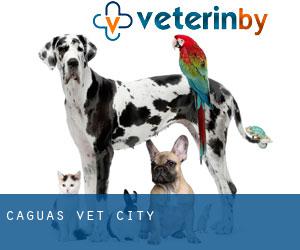 Caguas vet (City) Caguas vet (City)
