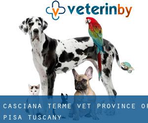 Casciana Terme vet (Province of Pisa, Tuscany)