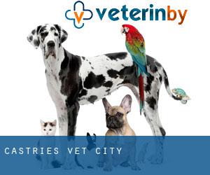 Castries vet (City) Castries vet (City)