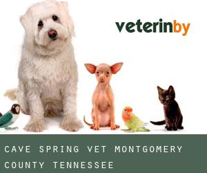 Cave Spring vet (Montgomery County, Tennessee)