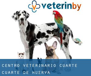 Centro Veterinario Cuarte (Cuarte de Huerva)