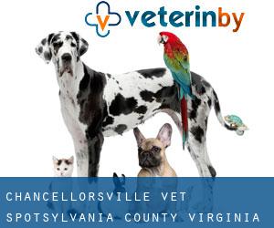 Chancellorsville vet (Spotsylvania County, Virginia)