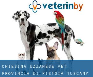 Chiesina Uzzanese vet (Provincia di Pistoia, Tuscany)