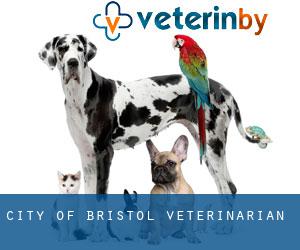 City of Bristol veterinarian
