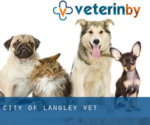 City of Langley vet