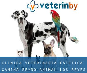 Clinica Veterinaría Estética Canina Reyno Animal (Los Reyes)