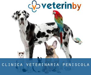 Clínica Veterinaria Peñíscola