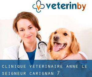 Clinique vétérinaire Anne-Le Seigneur (Carignan) #7