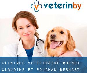 Clinique Vétérinaire Bornot Claudine et Pouchan Bernard (Lau-Balagnas)
