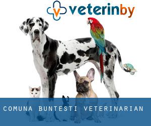 Comuna Bunteşti veterinarian