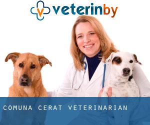 Comuna Cerãt veterinarian