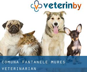 Comuna Fântânele (Mureş) veterinarian