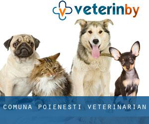 Comuna Poieneşti veterinarian