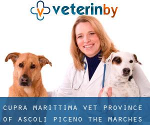 Cupra Marittima vet (Province of Ascoli Piceno, The Marches)