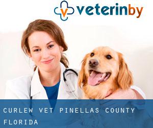 Curlew vet (Pinellas County, Florida)