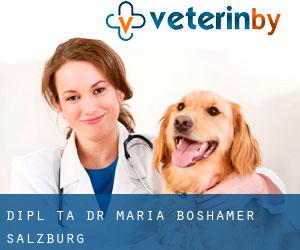 Dipl-TA Dr. Maria Boshamer (Salzburg)