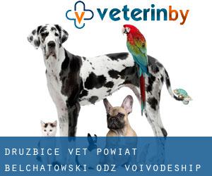 Drużbice vet (Powiat bełchatowski, Łódź Voivodeship)