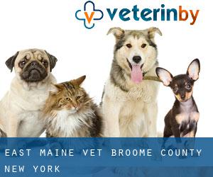 East Maine vet (Broome County, New York)