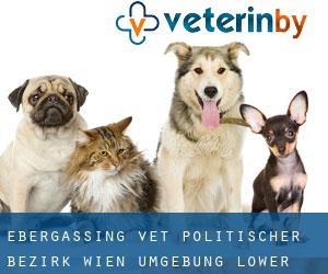 Ebergassing vet (Politischer Bezirk Wien Umgebung, Lower Austria)