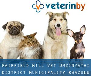 Fairfield Mill vet (uMzinyathi District Municipality, KwaZulu-Natal)