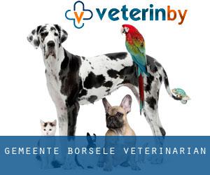 Gemeente Borsele veterinarian Gemeente Borsele veterinarian