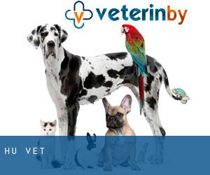 Huế vet Huế vet
