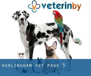 Hurlingham vet - page 5