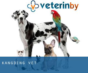 Kangding vet Kangding vet
