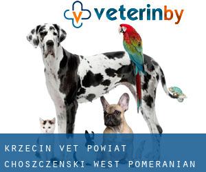 Krzęcin vet (Powiat choszczeński, West Pomeranian Voivodeship)