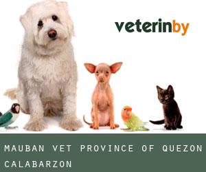 Mauban vet (Province of Quezon, Calabarzon)