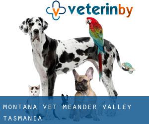 Montana vet (Meander Valley, Tasmania)