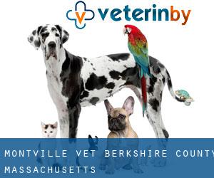 Montville vet (Berkshire County, Massachusetts)