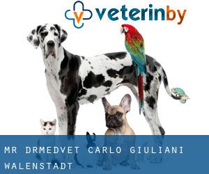 Mr. Dr.med.vet. Carlo Giuliani (Walenstadt)