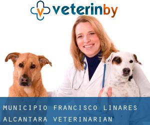 Municipio Francisco Linares Alcántara veterinarian